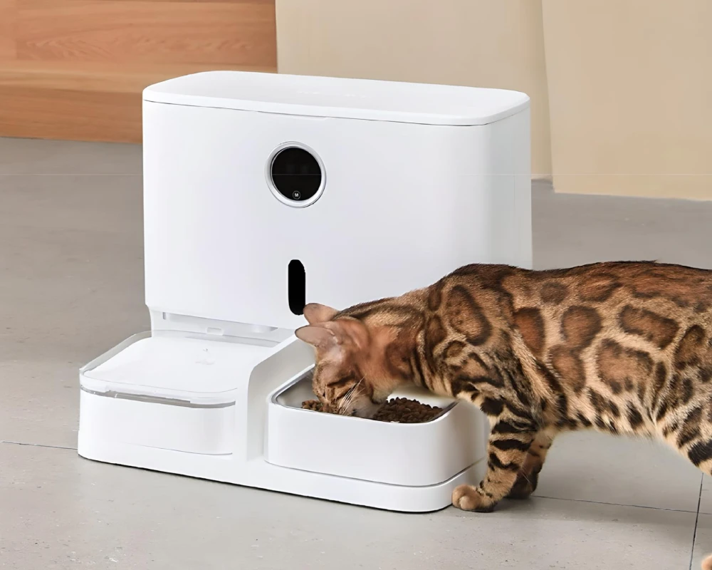 automatic water feeder for dogs