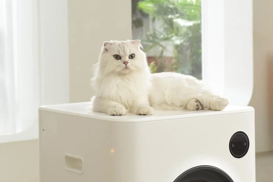 auto scoop litter box