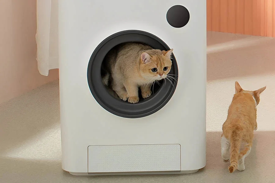 best litter boxes for cats